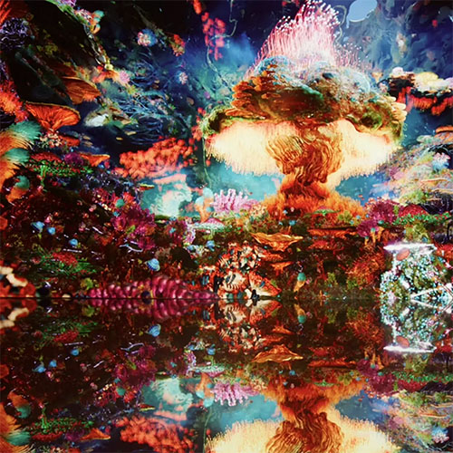 dataland